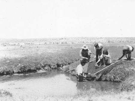 Carl Hubbs and others with nets, Sucker Creek, Wyoming
