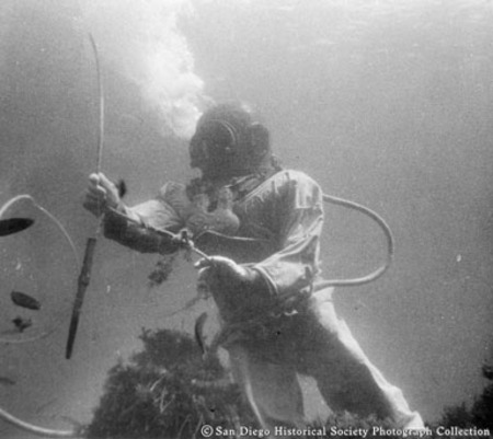 American Agar and Chemical Company kelp diver underwater