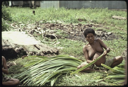 Weaving: pregnant woman strips spines from edges of pandanus leaves, fibers spread to dry at left