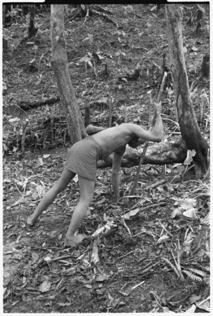 Man planting taro.