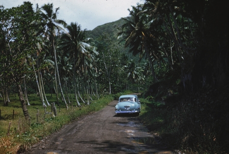 Road around Tahiti