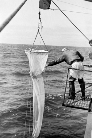 Martin Wiggo Johnson at sea with a plankton net aboard R/V Scripps