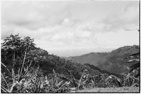 Mountains of Adelbert Range: view from Atitau, Wanuma Census Division