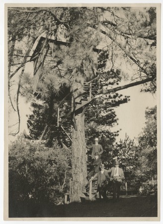 Group of unidentified men standing at the base of the Bird Cage tree house, Pine Hills