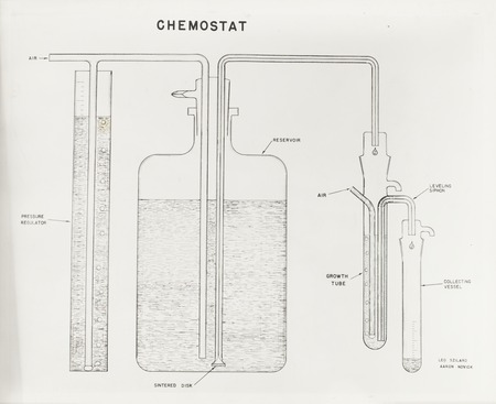 Chemostat diagram