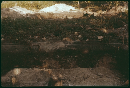 Hauiti archaeological excavation, Moorea: X54, west wall