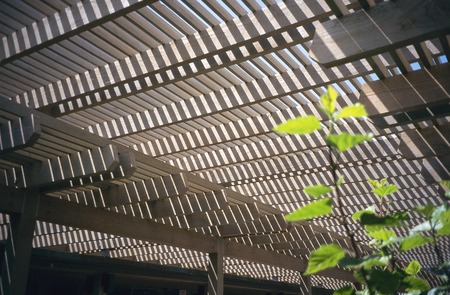 Ida and Cecil Green Faculty Club: interior: courtyard roof lattice