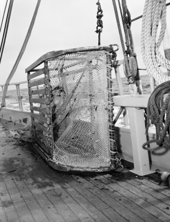 Dredging basket and rigging aboard the E.W. Scripps (ship). 1948.