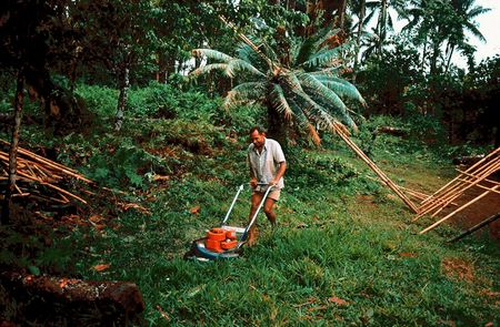 Simeon Cuts the Grass, Waileni