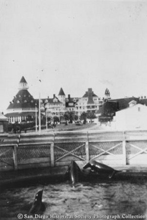 View of Hotel del Coronado from seal pool in foreground