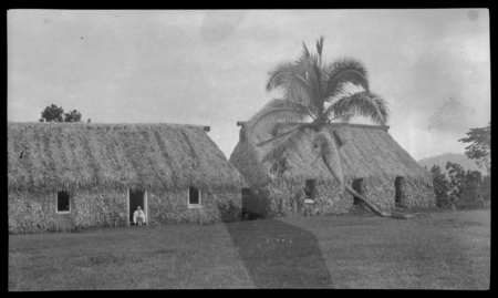 Traditional Fijian houses
