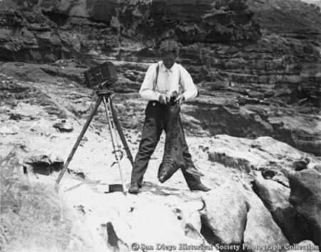 Man holding seal pup by tail, camera on tripod