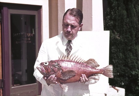 Denis Llewellyn Fox, in front of the Scripps Aquarium (1915 building), holding a rockfish Sebastas. Fox accepted an appoin...