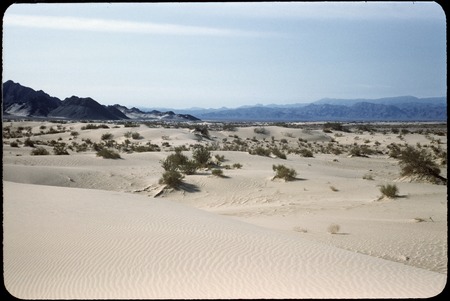 Looking south toward Arroyo Grande, from Sierra Pinta dunes
