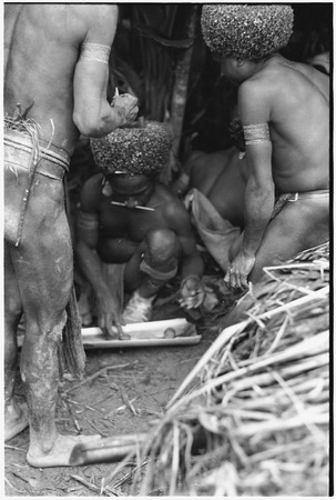 Pig festival, wig ritual, Tsembaga: wigged men mix red paint to be applied to wigs