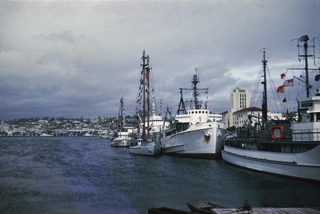 [Scripps Fleet at B Street Pier, San Diego, ] 1954 or 1955