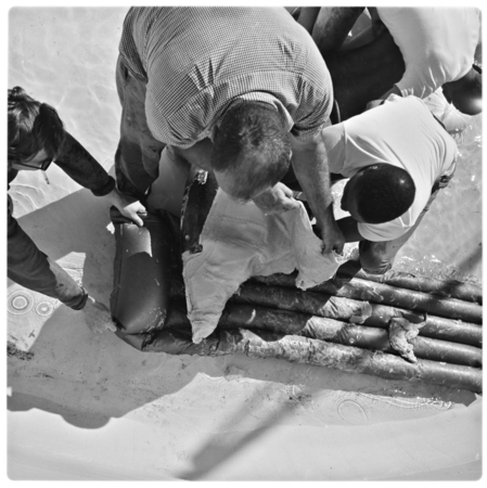 Casting porpoise skin in ring tank at Physiological Research Laboratory, Scripps Institution of Oceanography