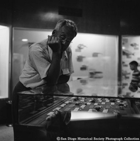 Man looking at Scripps Aquarium display