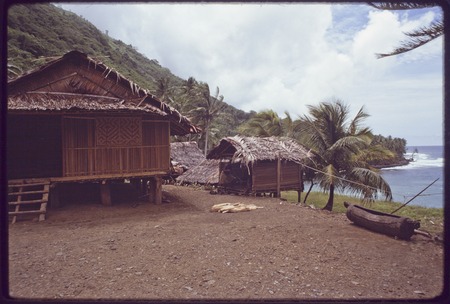Kairiru: houses and carved slit drum made from hollowed-out log, next to shoreline