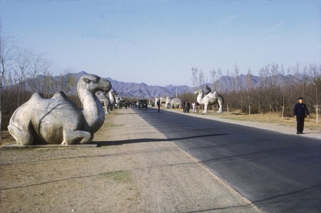 Avenue of the Animals, Ming Tombs