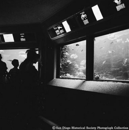 People looking at Scripps Aquarium display