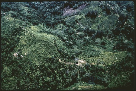 Wahgi-Sepik Divide, aerial view of houses and gardens on north slope