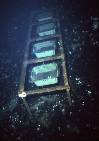 Experiment bins, during Paul Dayton&#39;s benthic ecology research project. near McMurdo Station, Antarctica. March 1978