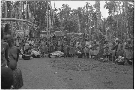 Mortuary ceremony, Omarakana: mourning women gather for ritual exchange of banana leaf bundles