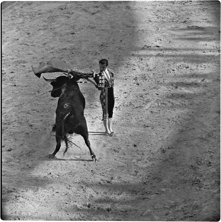 Bullfighting at La Plaza de Toros El Toreo de Tijuana