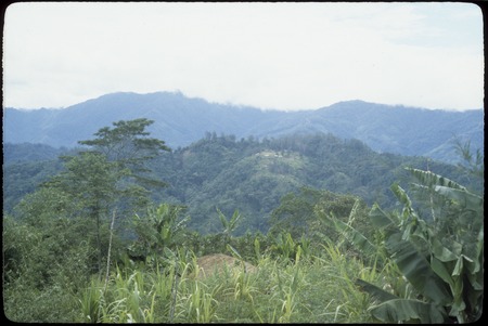 Jimi River area, panoramic view 08: garden and mountains, settlement in distance