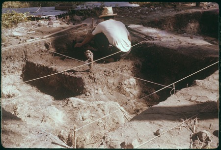 Hauiti archaeological excavation, Moorea: square X49