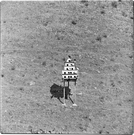 Birdhouse in field