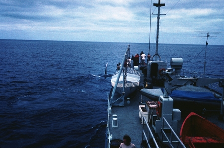 Orca whale off bow of R/V Alexander Agassiz