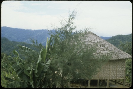 Jimi River area, panoramic view 09: house occupied by Edwin Cook and Susan Pflanz-Cook