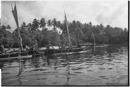 Fishing: men bring masted canoes to shore