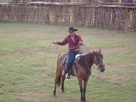 Rodeo preparations for fiesta San Juan Koop 03