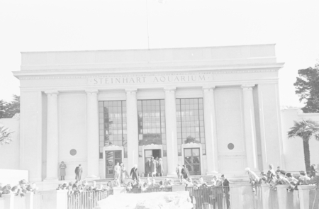 Steinhart Aquarium, circa 1949