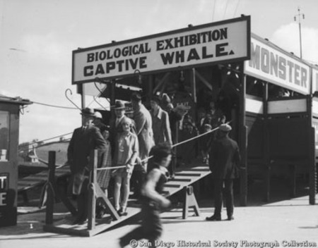People attending biological exhibition of &quot;monster&quot; captive whale