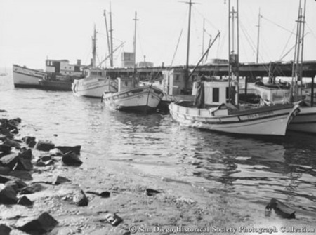 Docked fishing boats, including Giuseppe and Rosalia Madre, San Diego harbor