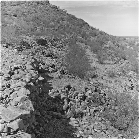 Stone walls at the archeological site at El Cerro de Trincheras