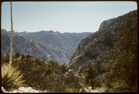 El Tajo Canyon