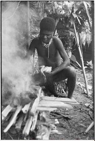 Pig festival, wig ritual, Tsembaga: adolescent boy holds plucked chicken, fire heats cooking stones for elevated oven (in ...