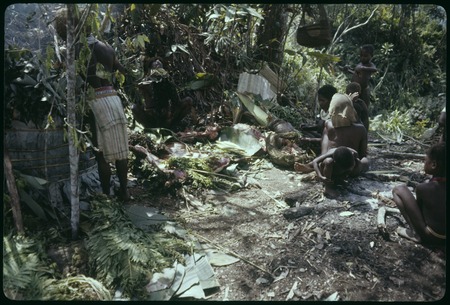 Pig festival, pig sacrifice, Torpai: in ancestral shrine, man (left) cooks marsupials in above ground oven
