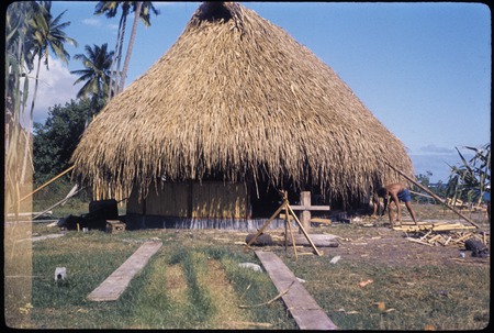 Thatched house being built in Paea, Tahiti