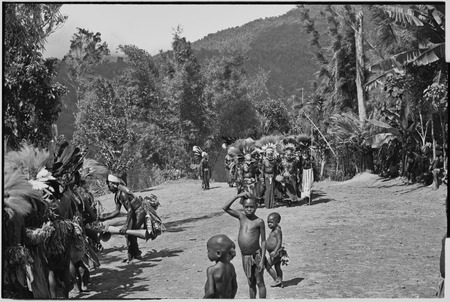 Pig festival, singsing, Kwiop: decorated men with feather headdresses in columns on dance grounds, children in foreground
