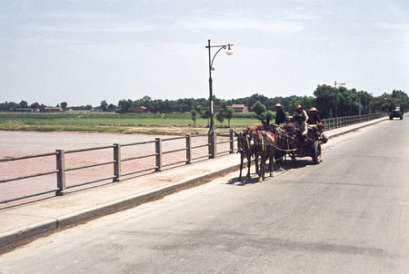 Horse Drawn Transport in Urban North China