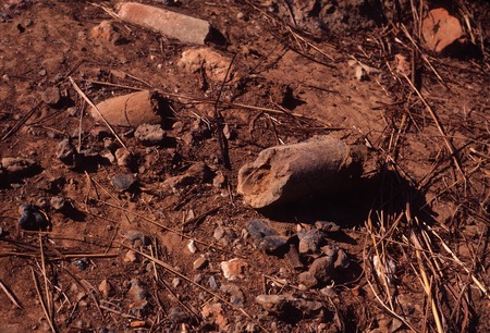 Remnants of Iron Smelting Site, Sumbu, Kaputa District