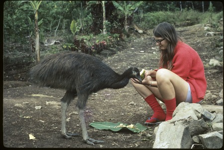 Susan Pflanz-Cook feeds a cassowary