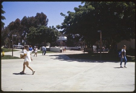 Walkway in Thurgood Marshall College, Eucalyptus Point in building in background