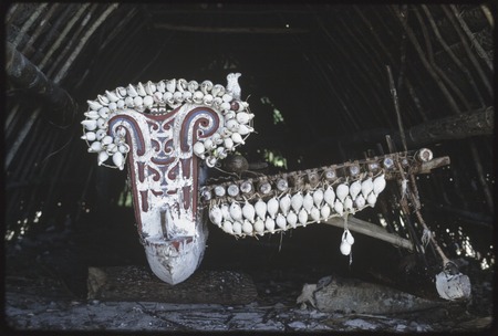 Canoes: carved and painted prowboard and splashboard of kula canoe, with white cowrie shells attached